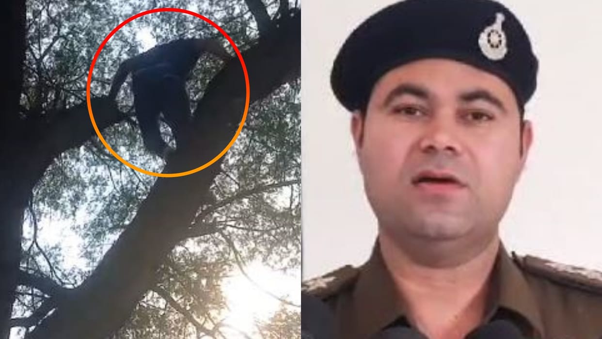 Rewa News Goat thief caught because of one slipper
