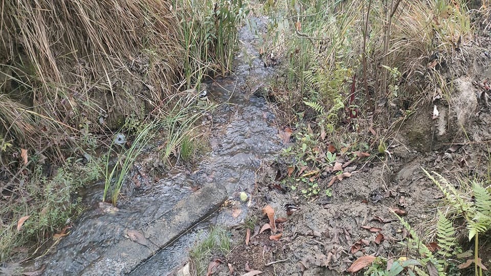 Due to leakage water level of Bohla Dam is continuously decreasing in Balrampur
