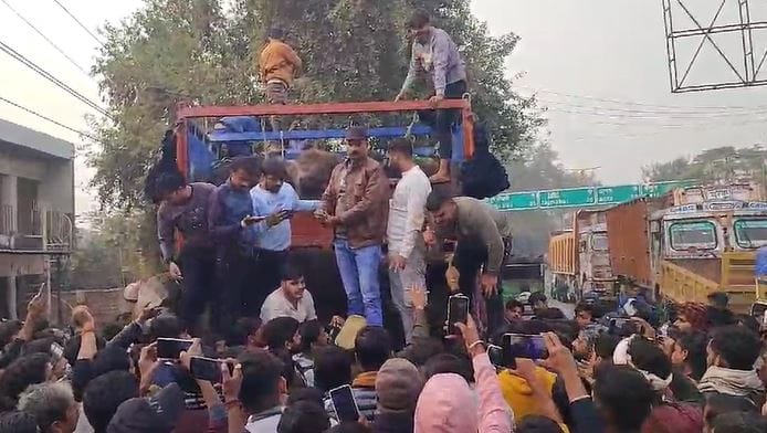 Buffalo And Padda Were Stuffed In The Truck In Agra