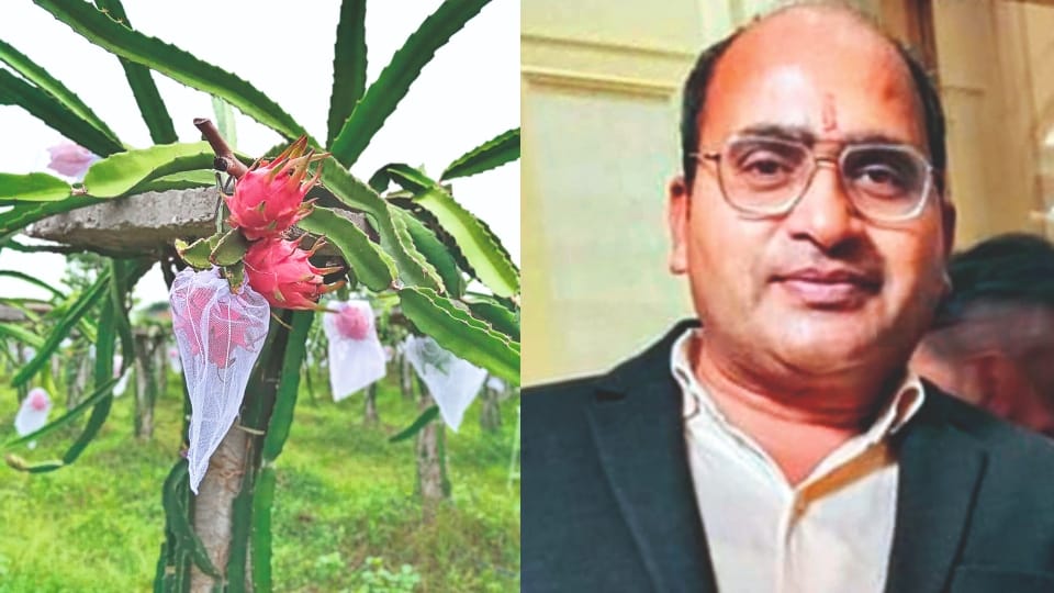 Praveen left the job of assistant professor and doing farming dragon fruit in Bareilly