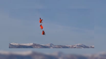 flying deer