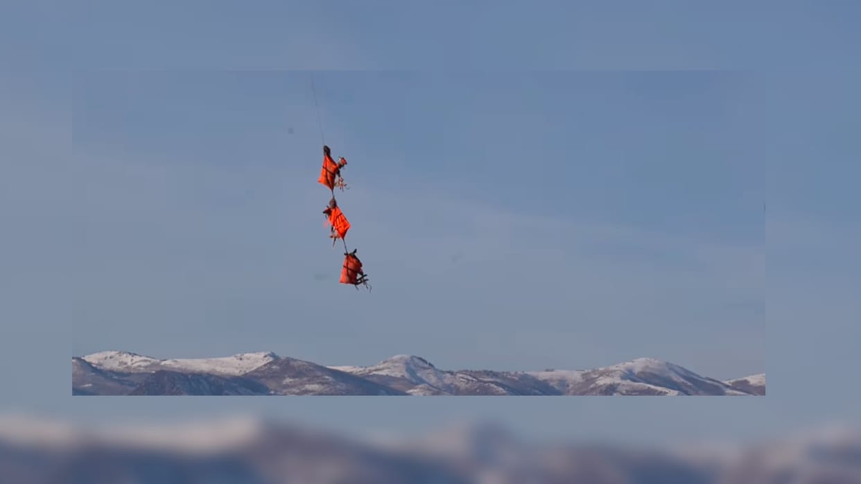 flying deer on camera viral video shared by us utah wildlife officials