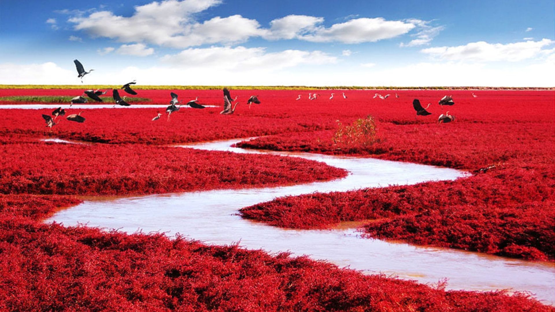 Mysterious Place of World scientists could not lift the secrets know about these places