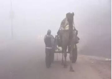 Rajasthan Weather Report: Dense fog hits Rajasthan, possibility of rain in next two days