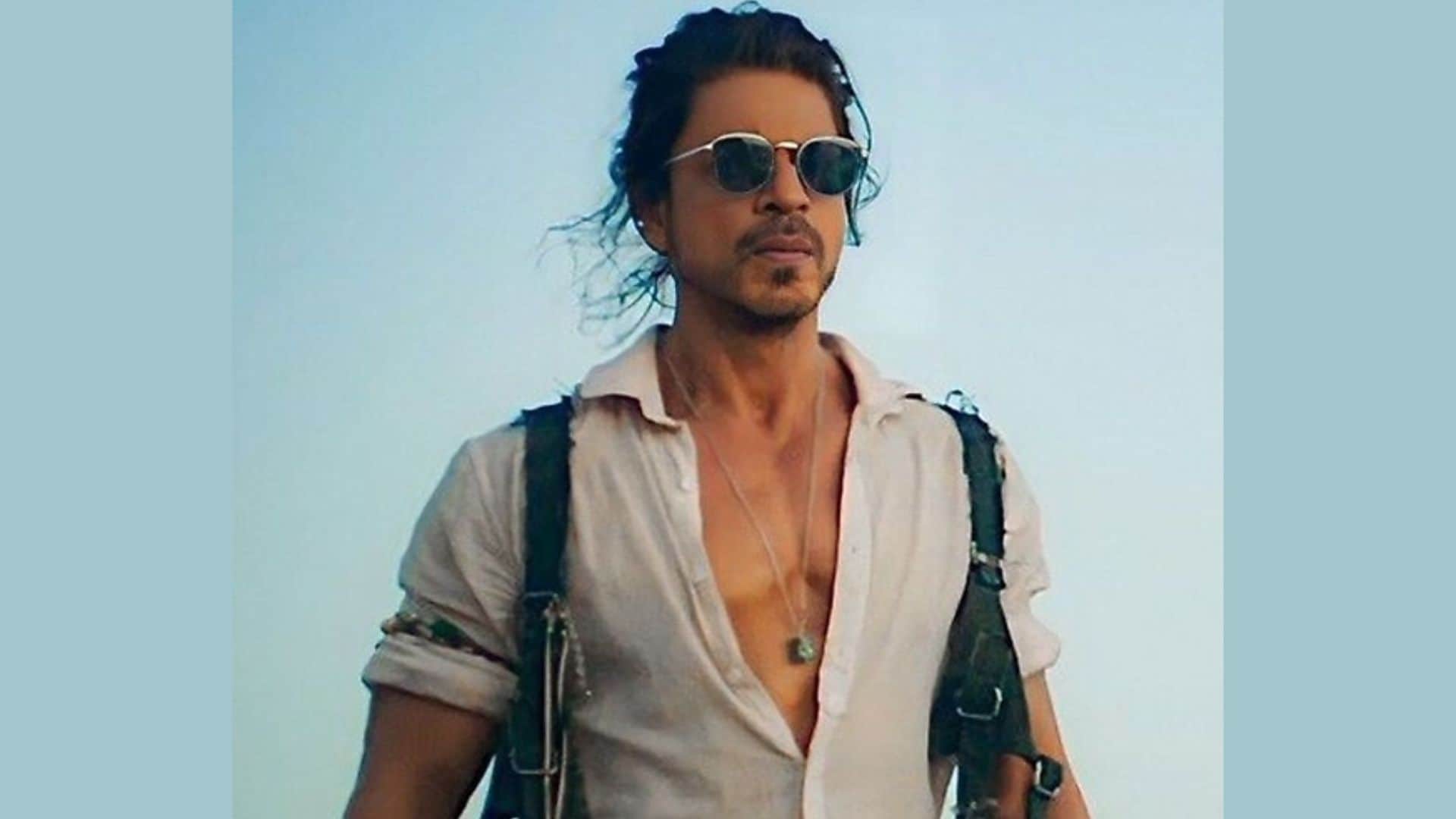 Year Ender 2023 Top Actor Hit Movies after Back to Back Flops Shah Rukh Khan Pathaan Animal Bobby Deol