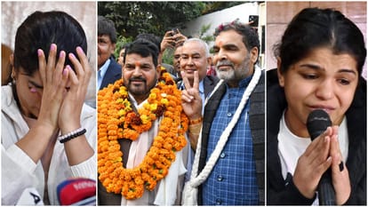 WFI Controversy: IOA formed a 3 member ad hoc committee to oversee wrestling, Sports Ministry suspended WFI