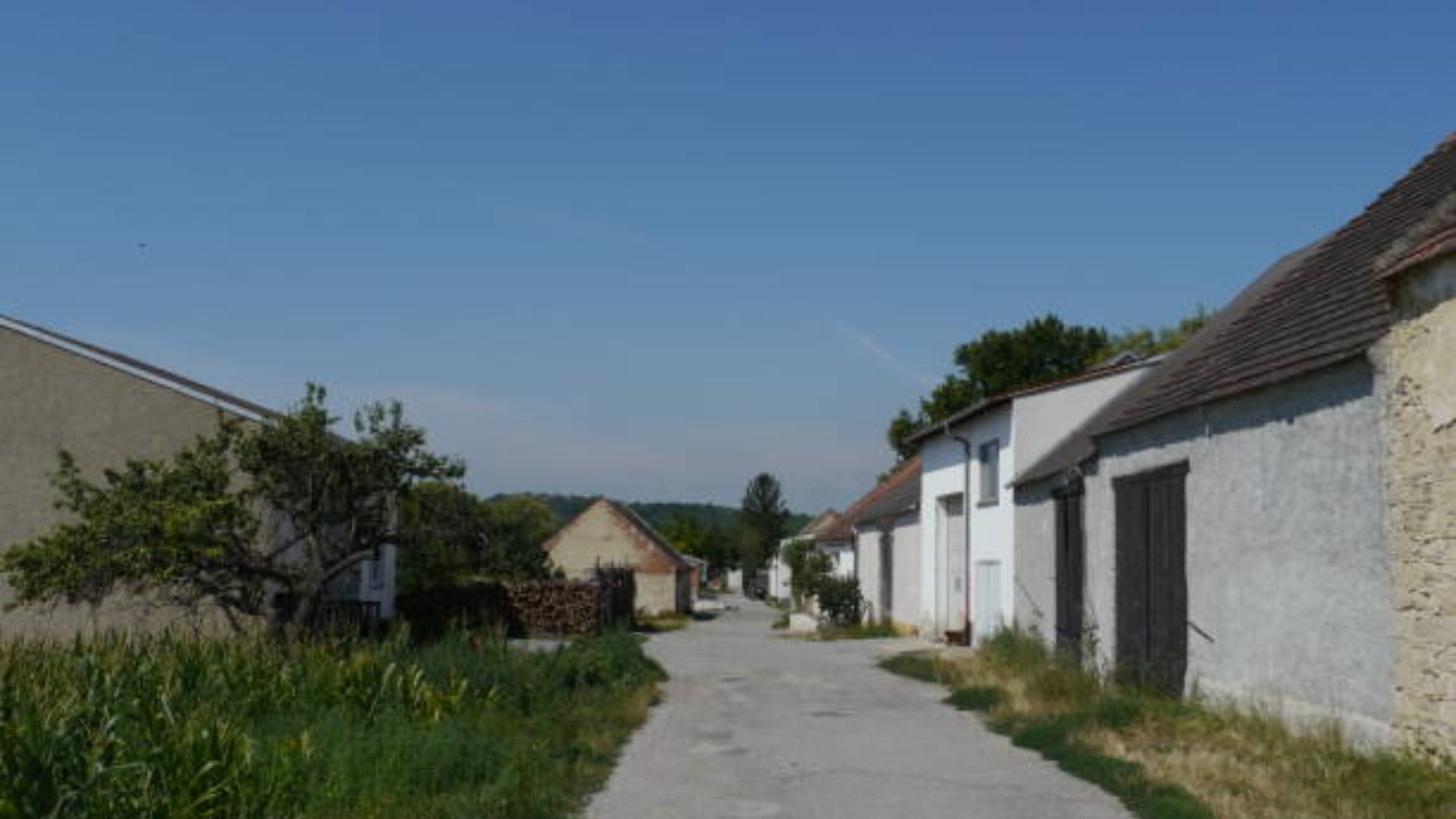 Ajab-Gajab: experiment village everyone dementia residents do not need money for anything