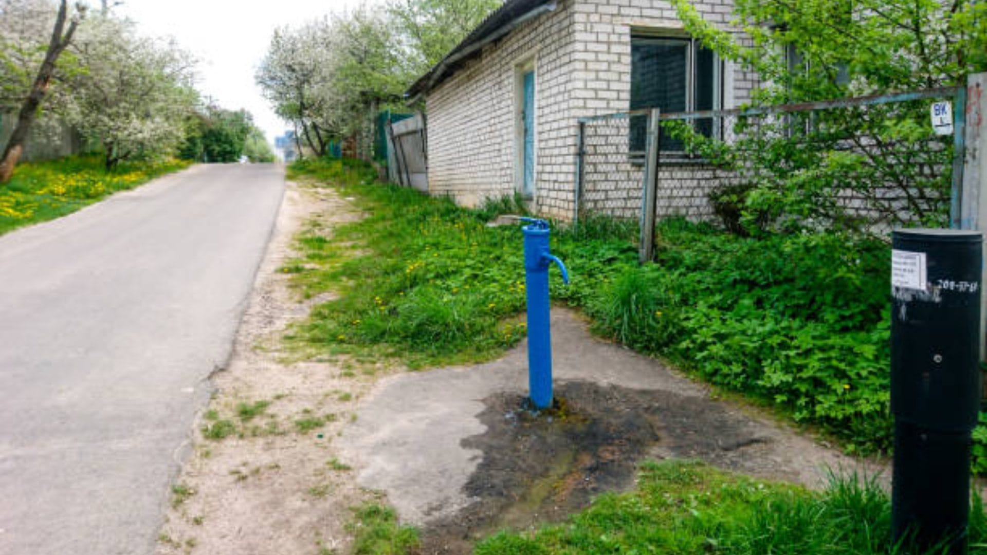 Ajab-Gajab: experiment village everyone dementia residents do not need money for anything
