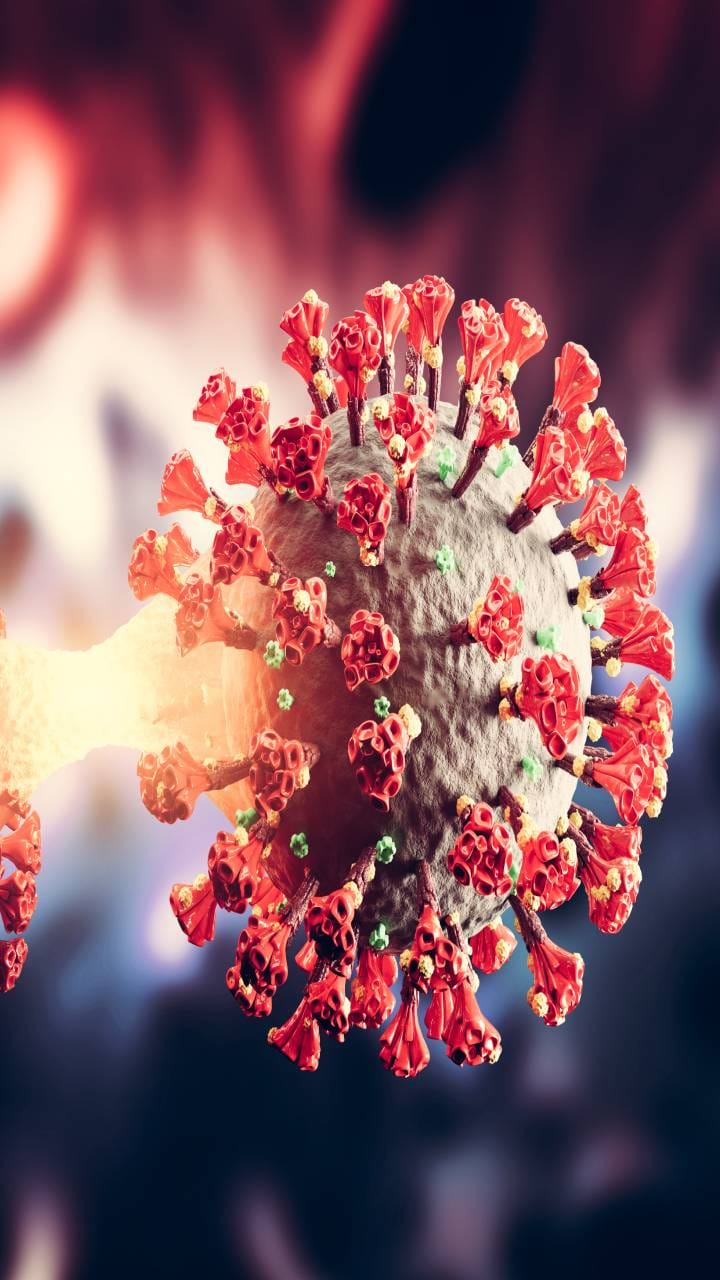 MP News: Five corona infected found in Bhopal, number of active patients reaches 7