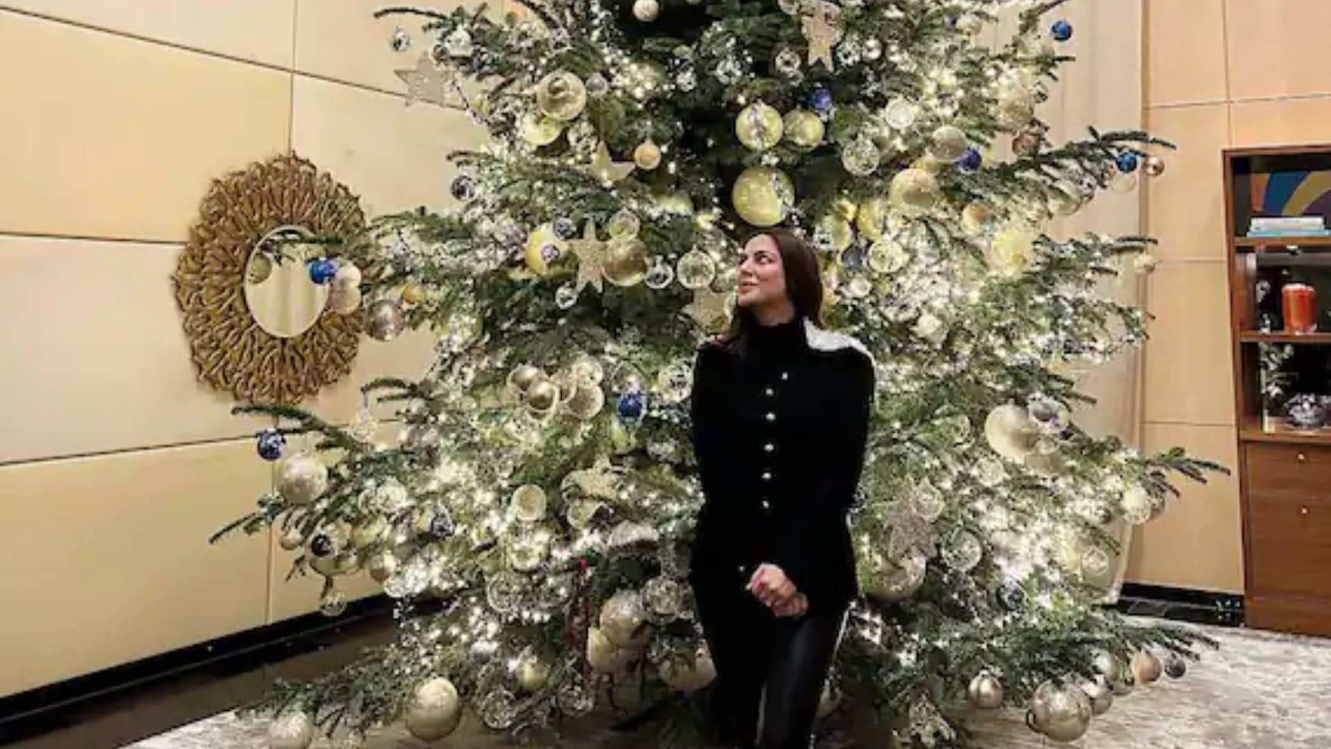 Divyanka Tripathi Debina Bonnerjee shraddha Arya Tv celebs celebrated Christmas 2023 see inside pics