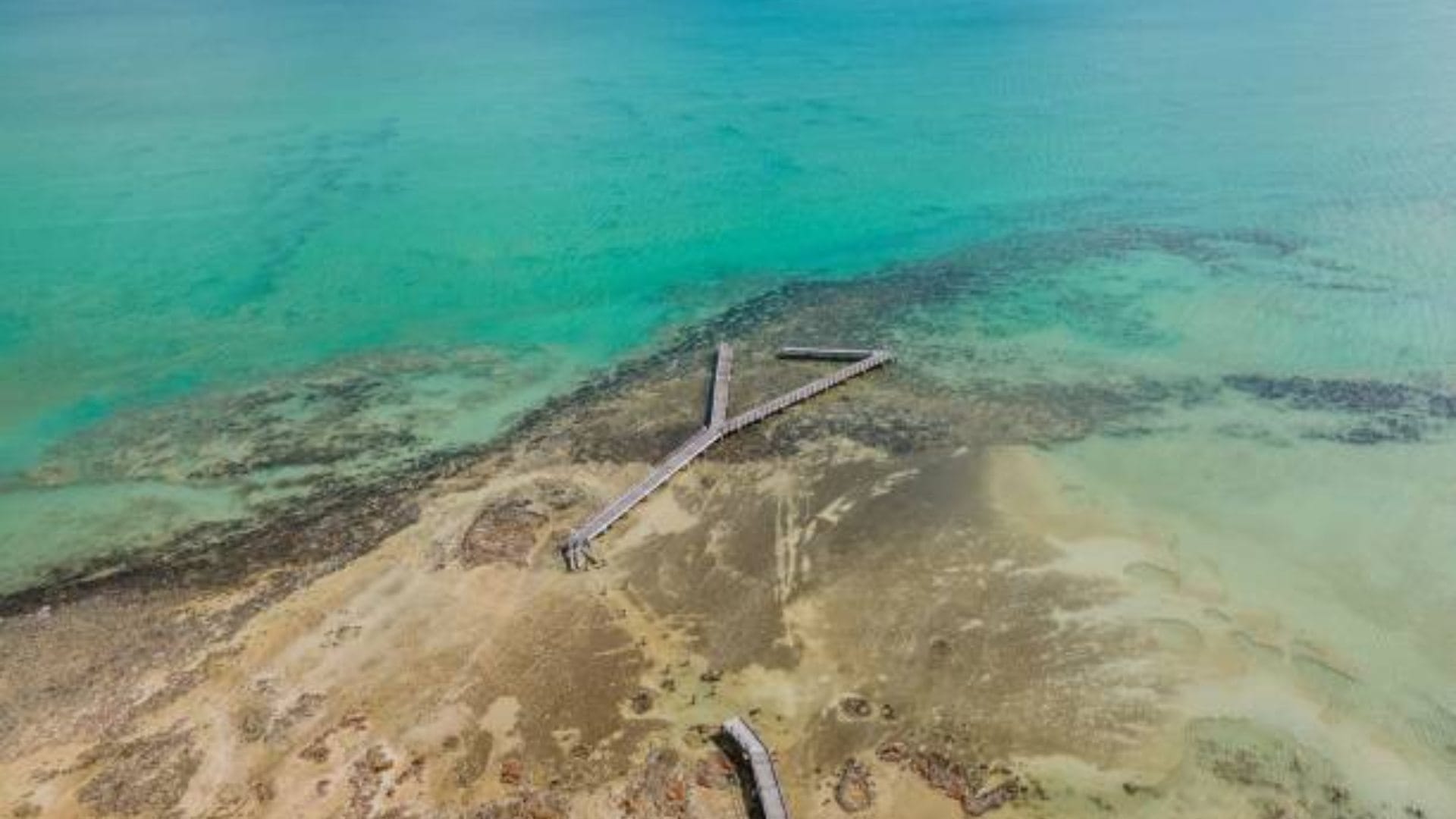 Australia's lost ancient colony, where thousands once lived, now found by  the scientists
