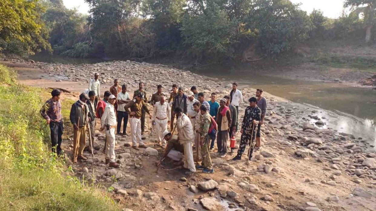 Four tigers roaming in the forest of Damoh Madiyado