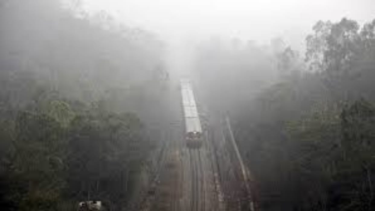 Weather: Yellow alert of fog in Ambala, red alert in Kurukshetra, Kaithal, Karnal