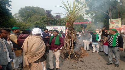 किसानों ने गन्ने की होली जलाई।