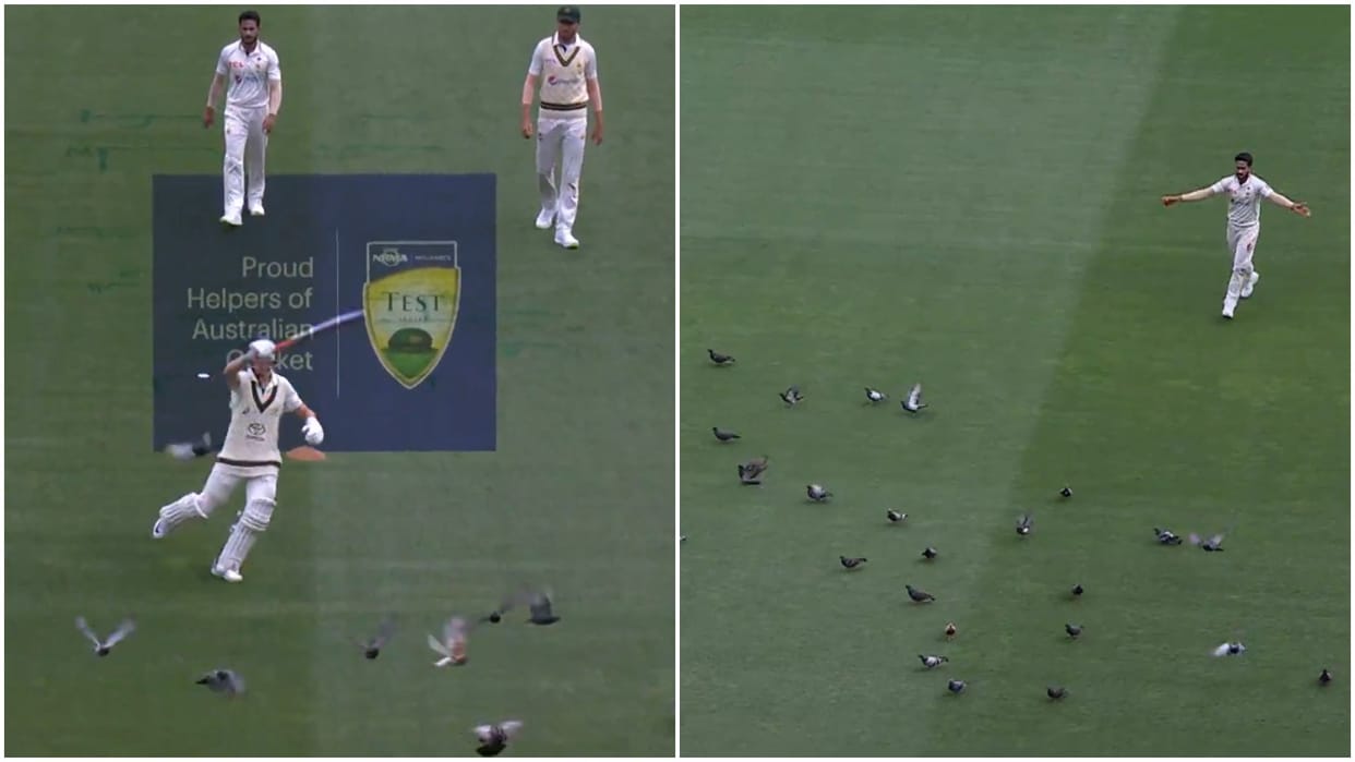 Hasan Ali and Marnus Labuschagne chased away pigeons during the AUS vs PAk test, the commentator also had fun