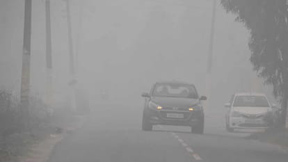 Punjab Weather Forecast Update Today: Imd Issues Warning Of Dense Fog In Punjab – Amar Ujala Hindi News Live