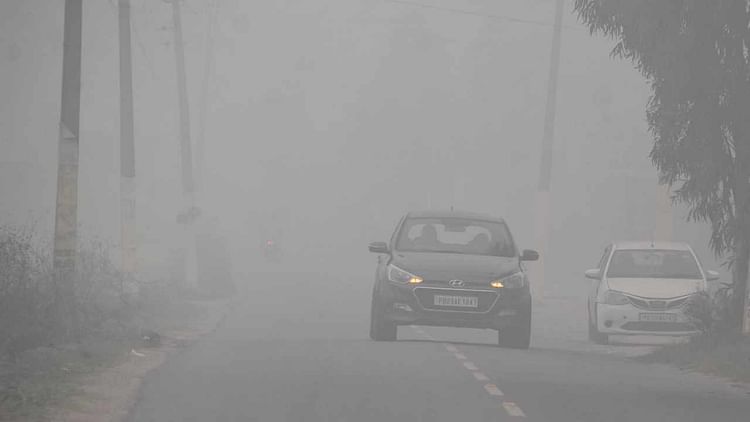 Punjab Weather News Red Alert Of Fog For Four Days In Punjab Amar Ujala Hindi News Live