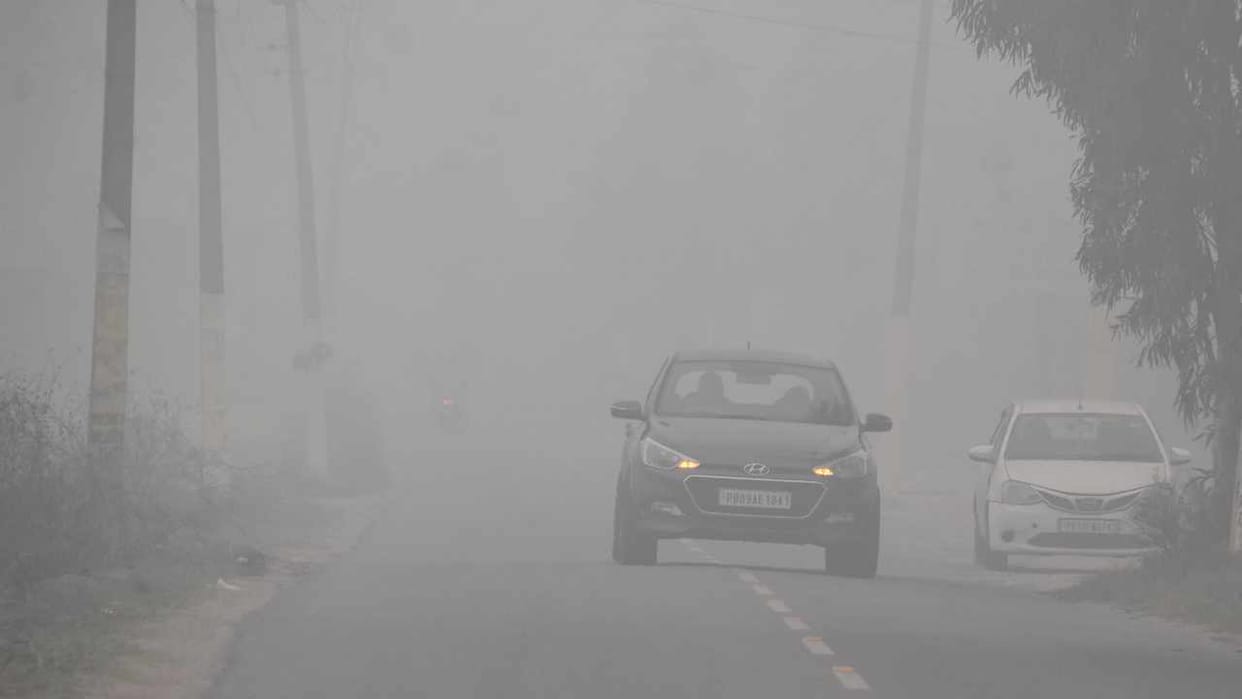 Punjab Weather Forecast Update Today: IMD issues warning of dense fog in Punjab