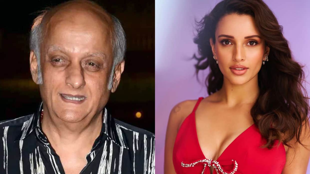 Aashiqui 3 Triptii Dimri becomes a part of kartik aaryan starrer film Mukesh Bhatt expressed anger on the repo