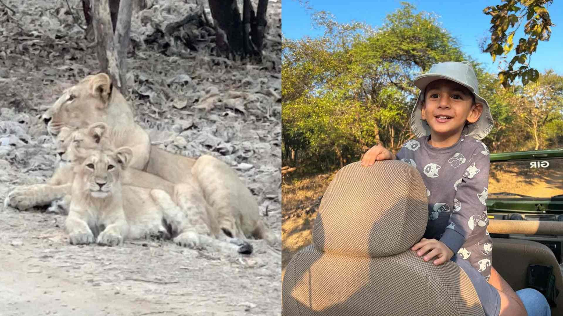Dia Mirza Enjoys Jungle Safari With Husband Vaibhav Rekhi And Son Avyaan actress showed a glimpse