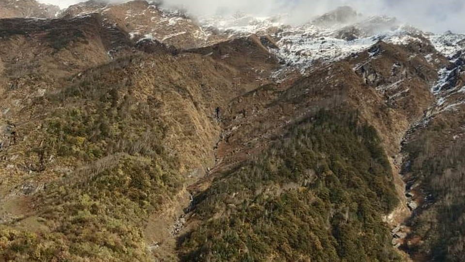 Uttarakhand Precious Bhojpatra forest in Yamunotri region is in danger it will become extinct.