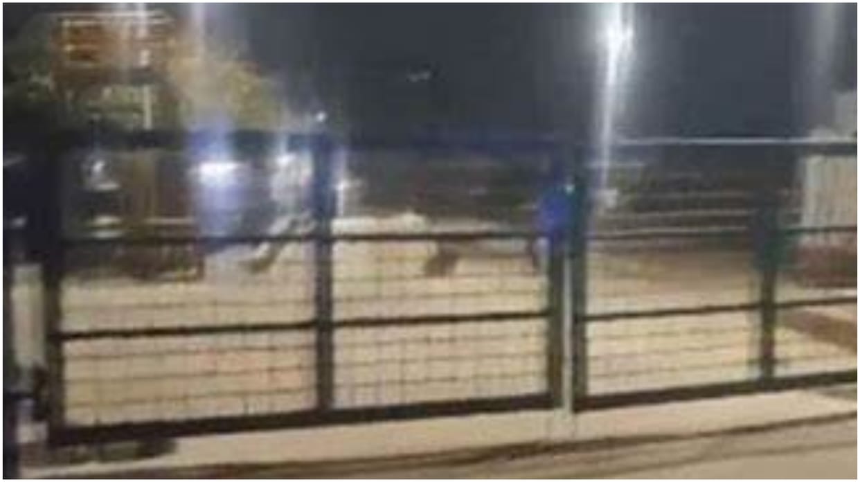 Coromandel International Limited temporarily shut down in Tamil Nadu's Ennore after ammonia gas leak
