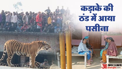 Pilibhit Tiger news Two families remained in shadow of terror for four hours