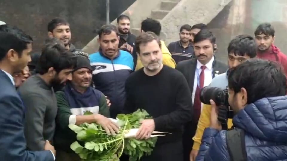 Congress leader Rahul Gandhi Why was Rahul welcomed with radish Know what Congress leader did in Akhara