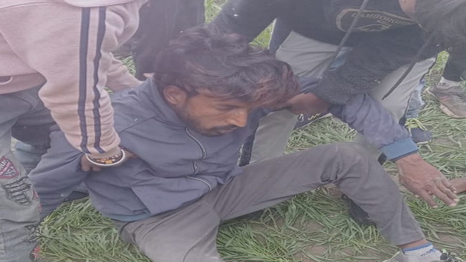 Canter overturned in a field on the roadside due to fog in bajpur