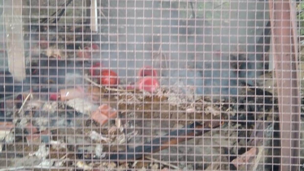 Hamirpur News:  Fire in poultry farm kills 5000 chickens in Hamirpur