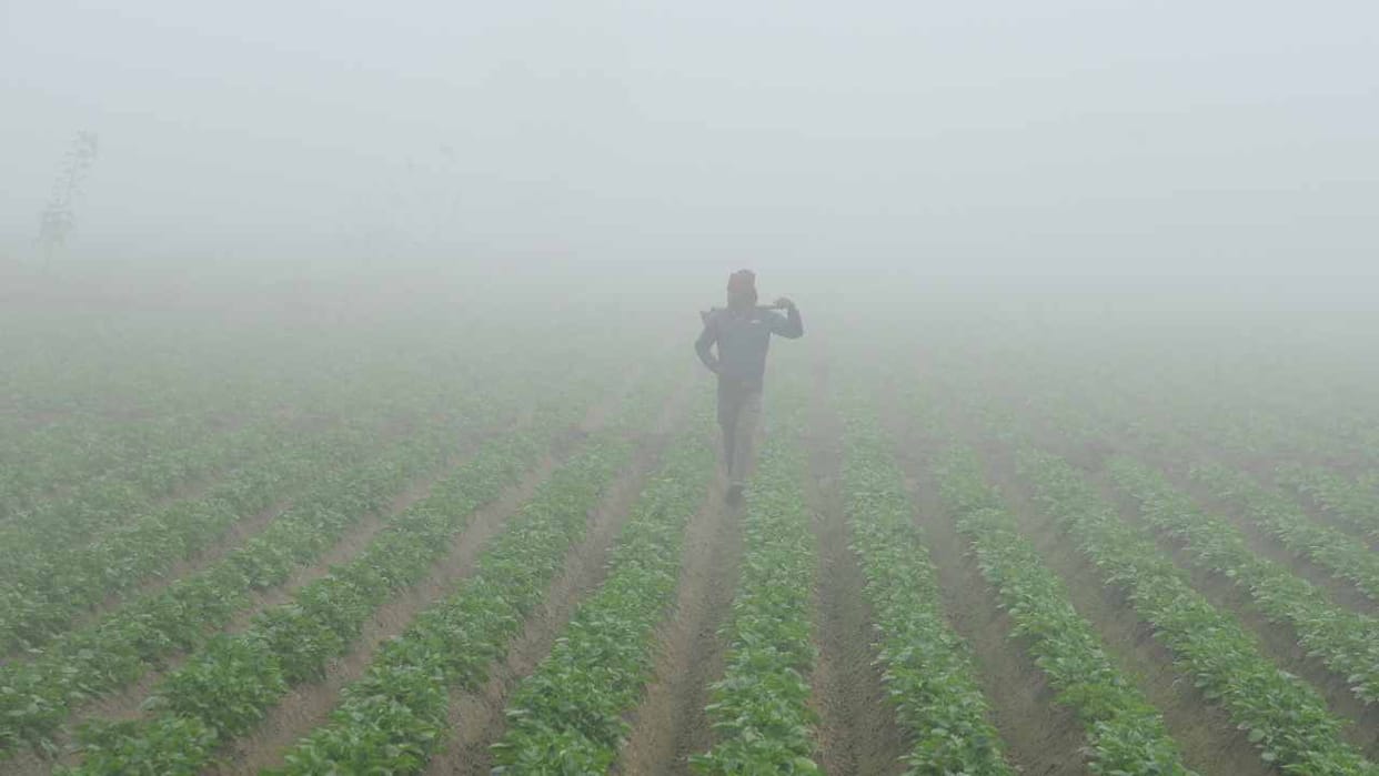 Dense Fog in Punjab Weather Update News in Hindi