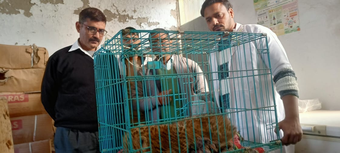 Meerut News Live: Accused injured in police encounter in Saharanpur and read all updates of West UP