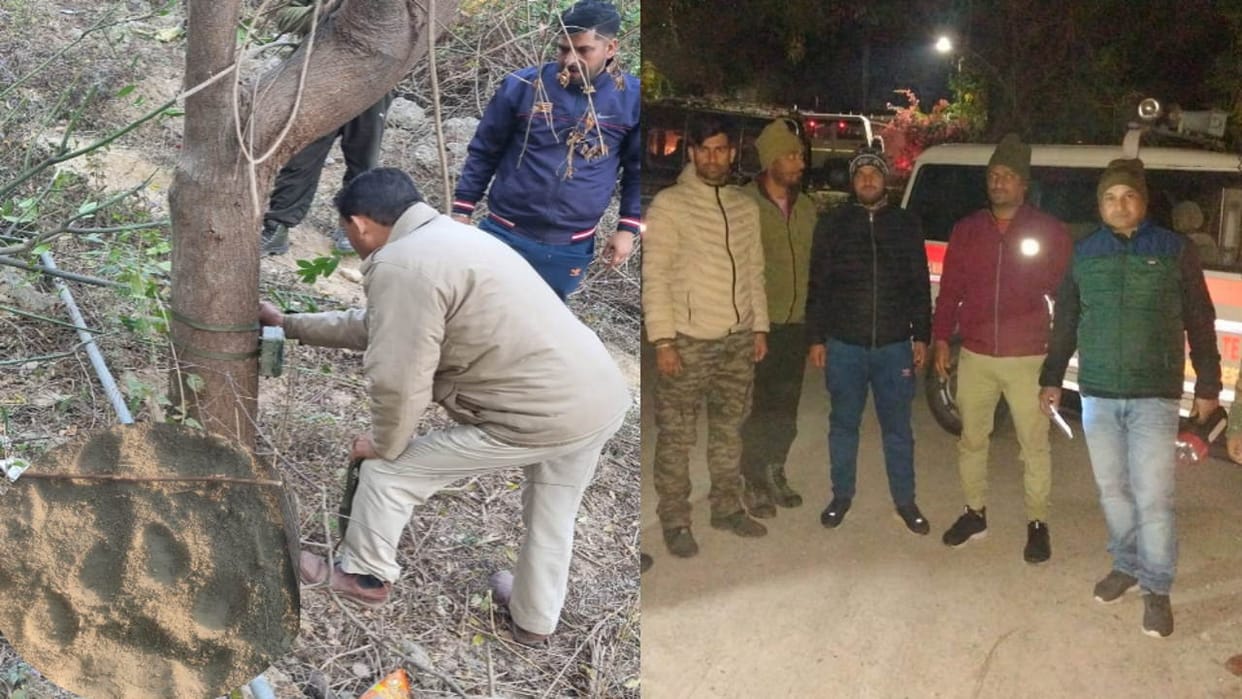 Leopard roaming within one km radius of Singli footprints found seen in trap camera also