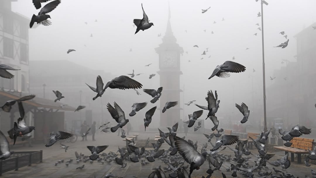 JK Weather: Chilly Jammu and Kashmir amid dense fog 19 trains late flight cancelled