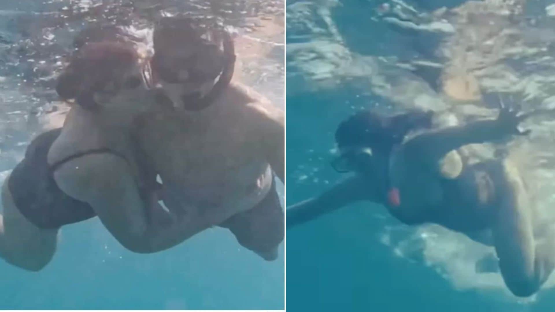 Twinkle Khanna celebrated her birthday with depths of the sea with her family see the video