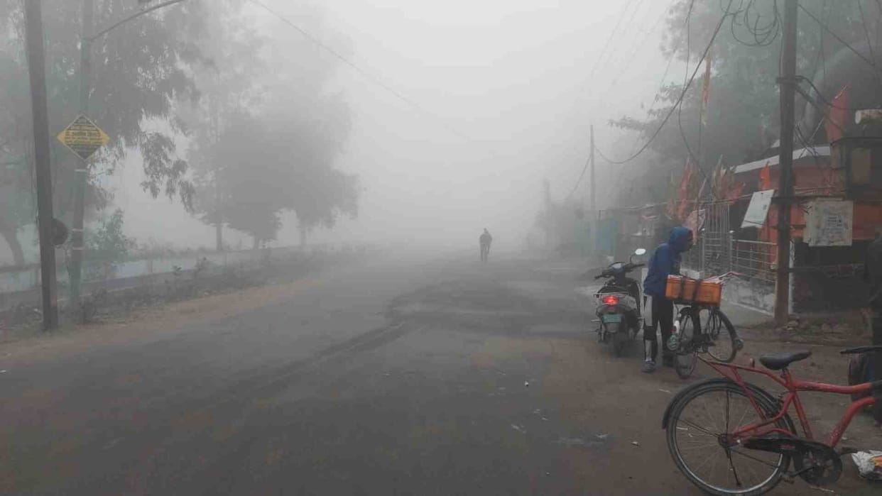 Damoh Weather Update Today: Dense Fog As Cold Increases In Damoh City
