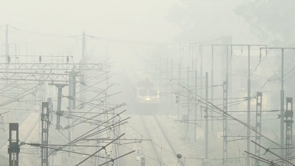 Weather Forecast Update Today: Cold Wave and Dense Fog in Punjab, Rajasthan, Haryana, Bihar and Uttarakhand