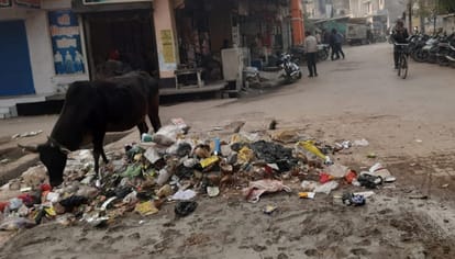 Several crores rupees spent in name of cleanliness in PDDU Nagar of Chandauli in one year