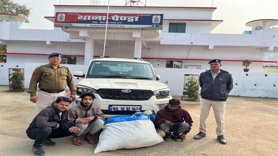 Large quantity of ganja and Rs 11 lakh cash recovered during checking in Gaurela Pendra Marwahi