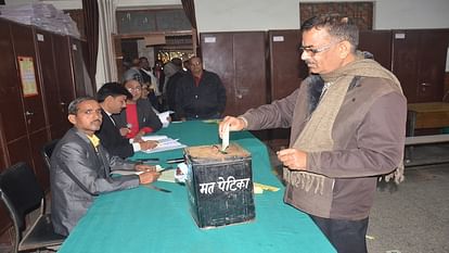 tehsil koil revenue bar association elections