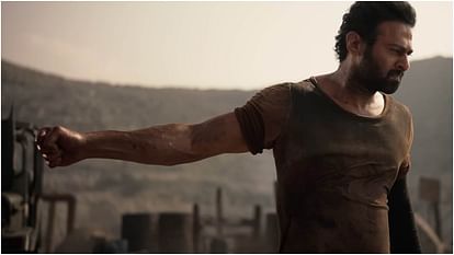 Box Office Collection Report Friday India Prabhas Salaar Shah Rukh Khan Dunki Ranbir Kapoor Animal