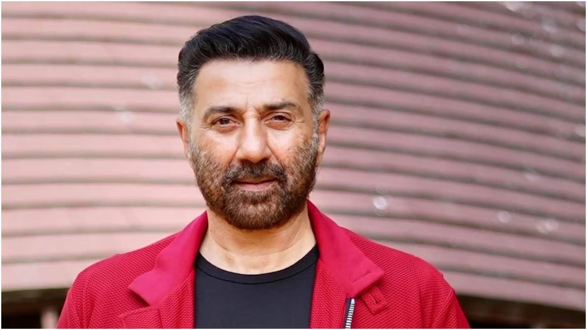 These Stars Not Entertain in New Year 2024 SRK Vicky Kaushal Sunny Deol Abhishek Bachchan Ranbir Kapoor