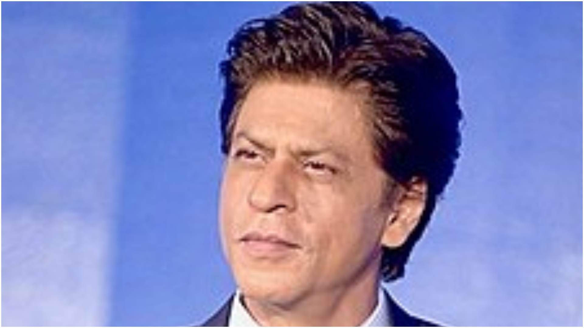 These Stars Not Entertain in New Year 2024 SRK Vicky Kaushal Sunny Deol Abhishek Bachchan Ranbir Kapoor