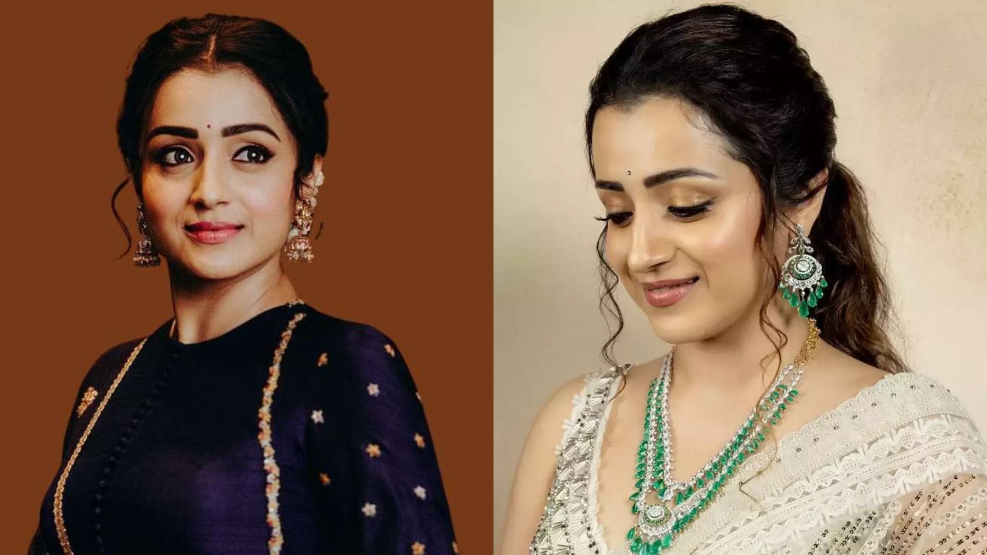 South Actress Trisha make her Bollywood comeback after 13 years with salman khan in Vishnu Vardhan next film