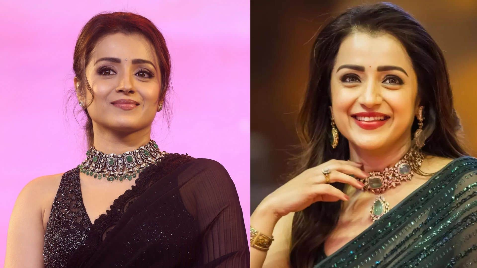 South Actress Trisha make her Bollywood comeback after 13 years with salman khan in Vishnu Vardhan next film