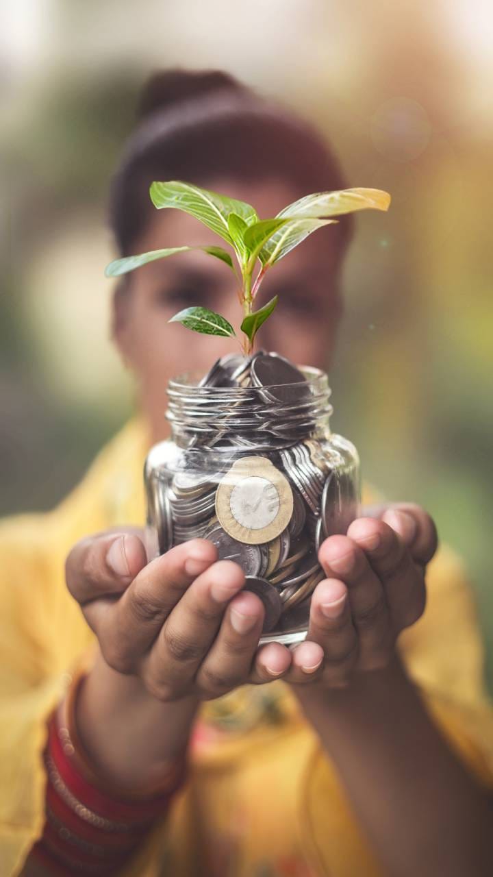 Investment Mantra Sensex expected to touch 85000 in the new year, return 15 percent