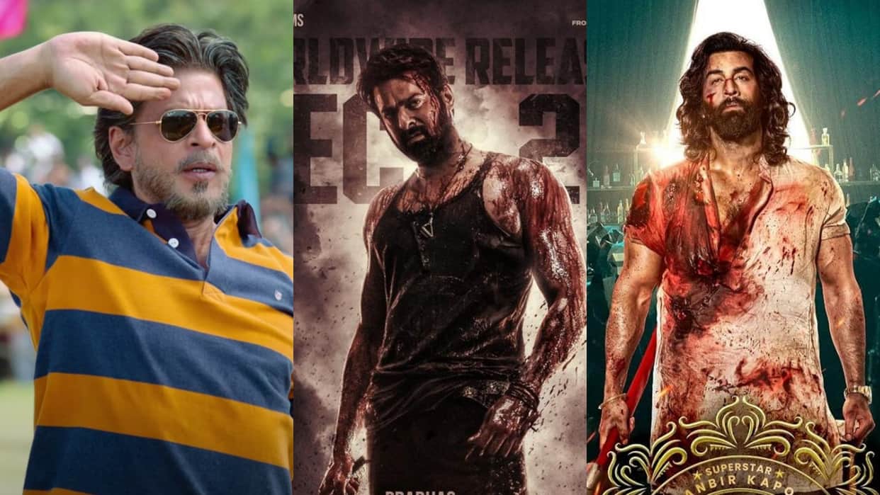 Tuesday Box Office Collection Dunki Salaar Animal latest earning occupancy BO Report