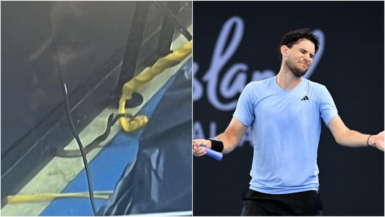 Uproar during Dominic Thiem match in Brisbane poisonous snake came out on the tennis court watch video