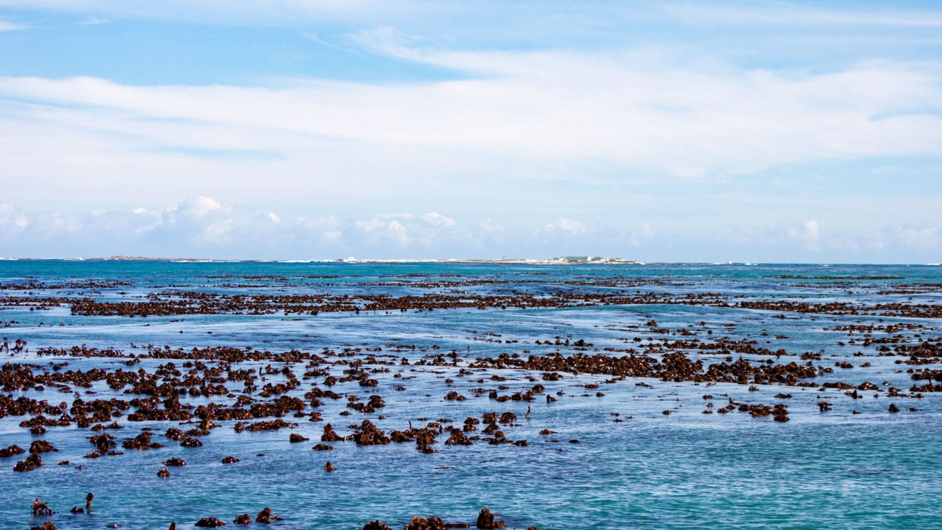Mysterious Island: know the history and mystery of cursed island gaiola