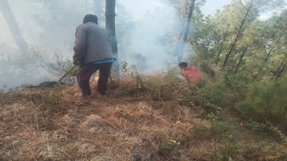 Terrible forest fire in Himachal Pradesh